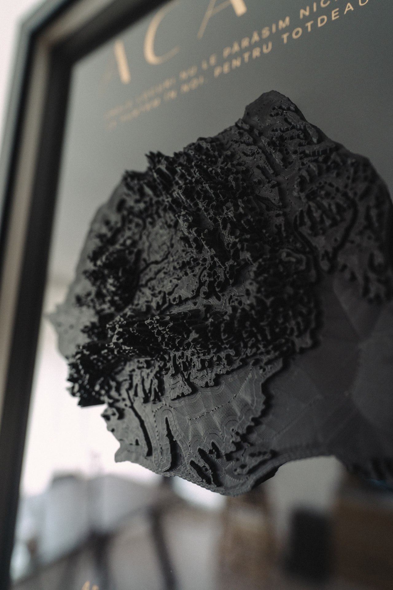 Relief detail · matte black